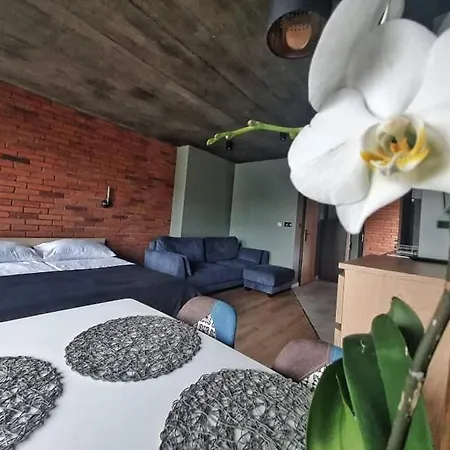 Loft 66 Apartamenty Wladyslawowo Exterior photo
