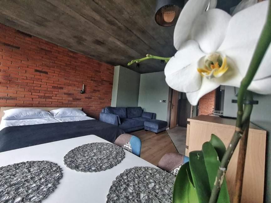 Loft 66 Apartment Wladyslawowo