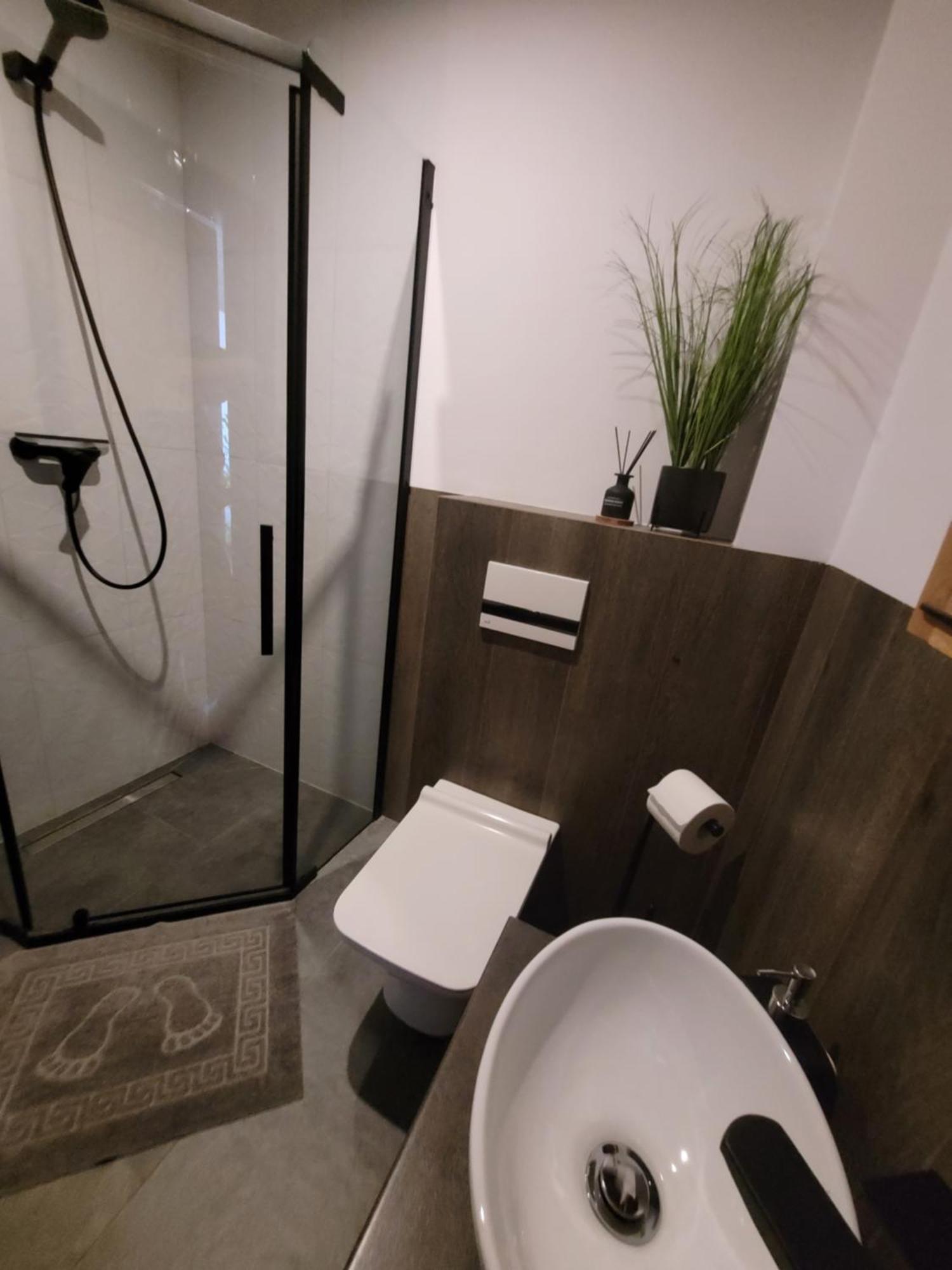 Apartment Loft 66